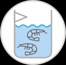 Aqua Culture